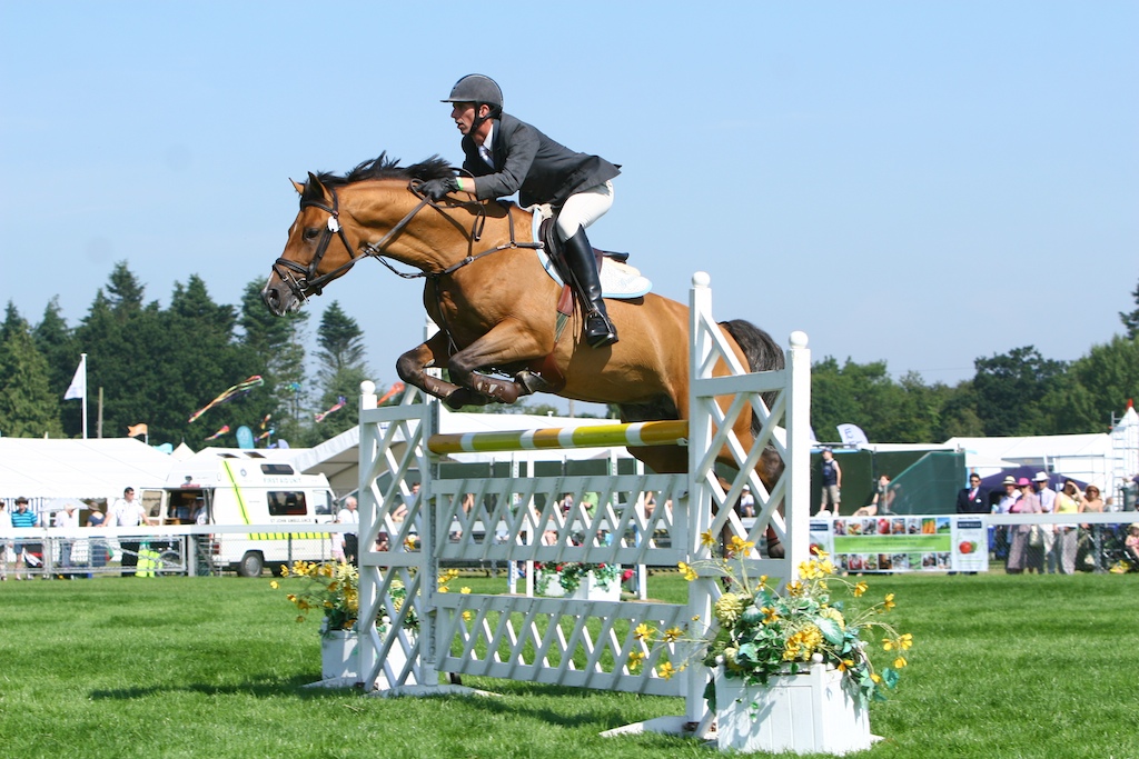 Univeau Stallion